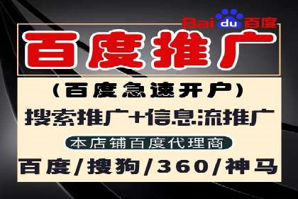 案例解读：SEM广告投放的技巧与策略